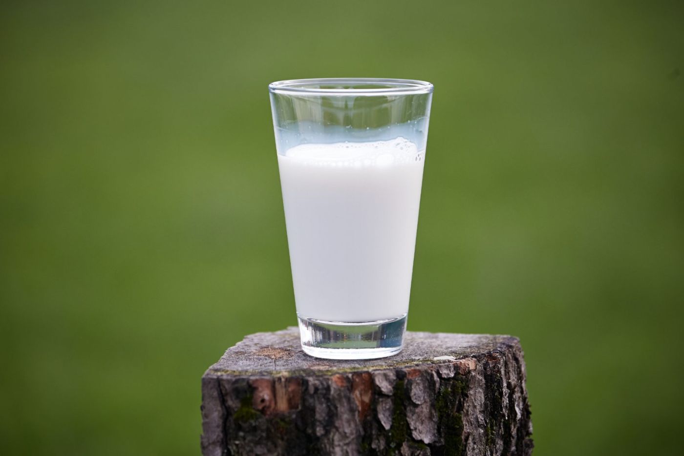 Ein Glas Milch steht auf einem Baumstumpf vor grüner Wiese